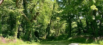 Secluded Cottage With hot tub