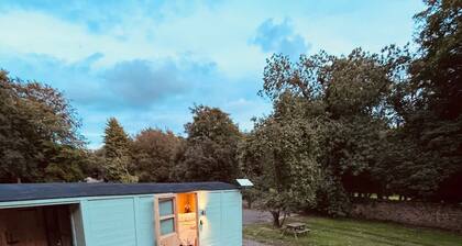 Shepherds Hut With Hot Tub