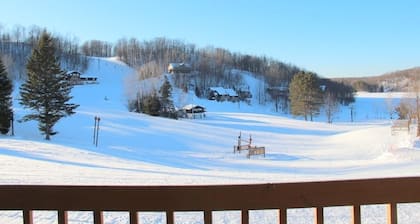 Sleeps 12 4BR/3BA Ski-in/Out Condo WiFi/AC/Lake/ATV/Hike/Snowmobile-Dog Friendly