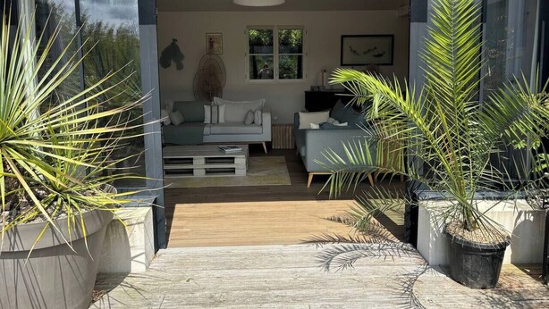 A modern living room with a sofa, coffee table, and potted plants. - A little slice of paradise in Trégastel, Comme un petit coin de paradis à Trégastel (Trégastel)