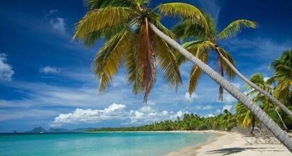 NOUVEAU Villa Caraïbe standing piscine vue mer