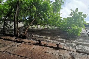 A stone wall with a tree branch overhanging.