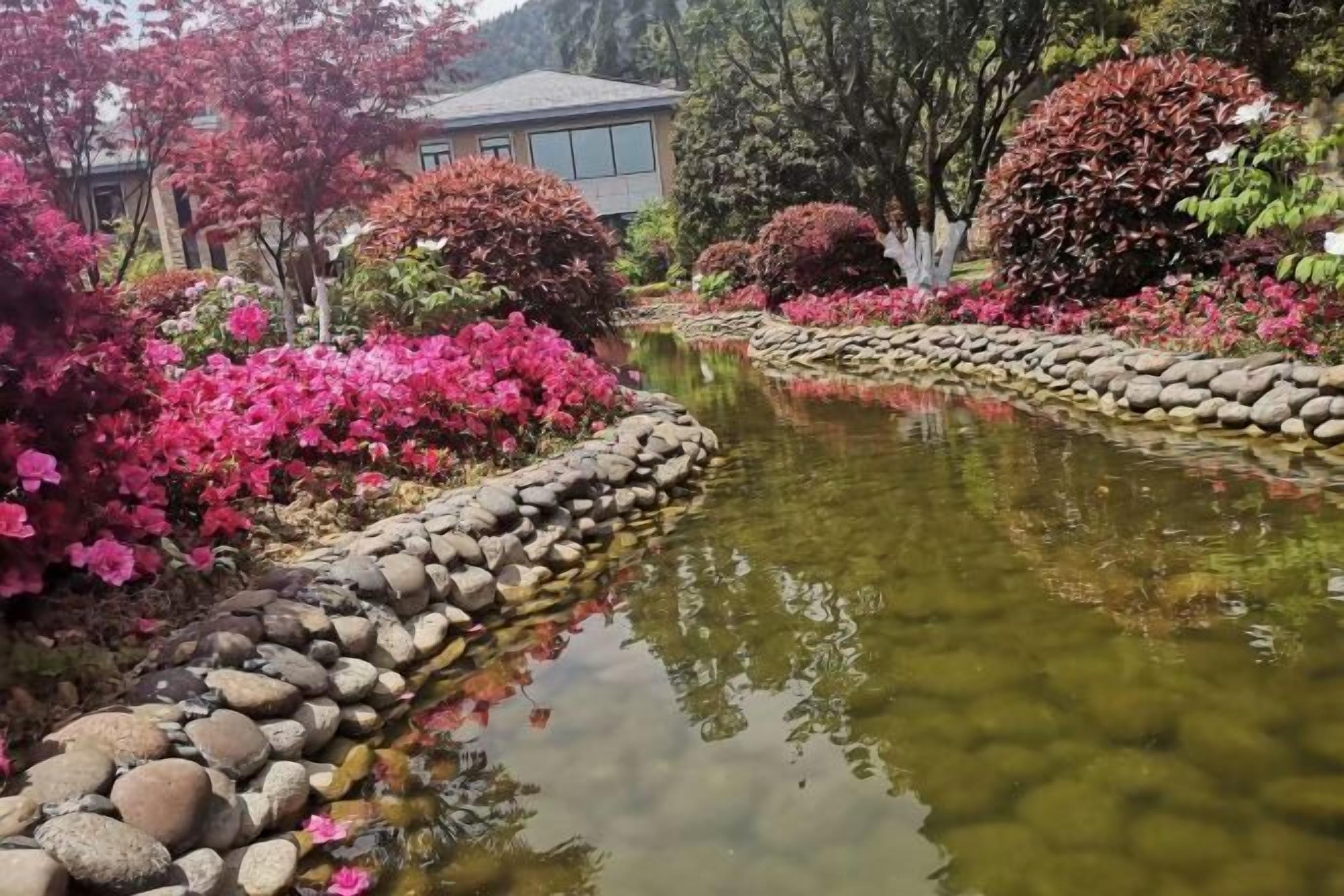 المنطقة المحيطة بالمنشأة