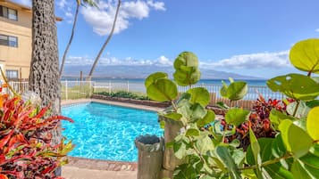 อพาร์ทเมนท์ | 1 ห้องนอน