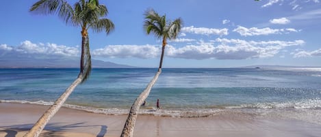 Departamento | 1 habitación