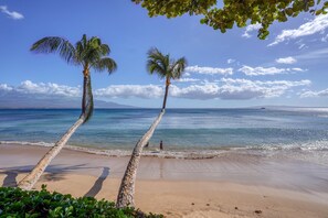 A beach with two palm trees and a clear view of the ocean. - Suite Maui Paradise Condo (Wailuku)