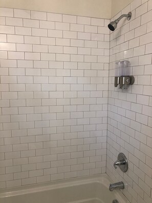 Apartment | 1 bedroom - Lakewood Lyon Park Renovated Cottage Near Duke 23A (Durham)