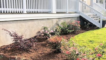 Apartment | 3 bedrooms