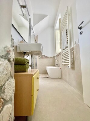 Douche, baignoire à jets, sèche-cheveux, bidet