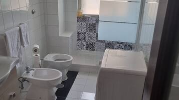 Shower, hair dryer, bidet, towels