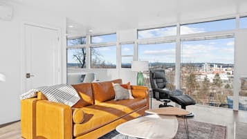 Smart TV, fireplace, books