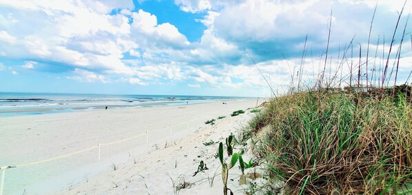 Vlak bij het strand