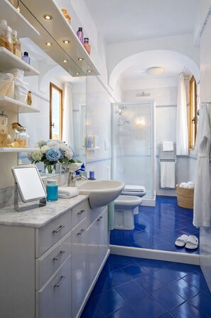 Shower, hair dryer, bidet, towels