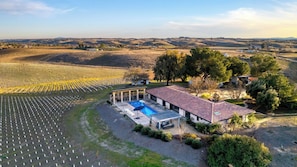 A large vineyard with rows of grapevines, a swimming pool, and a building with a tiled roof. - Private Pool, Firepit & Wine Room Near Top Paso Wineries Devi Ranch (Paso Robles)