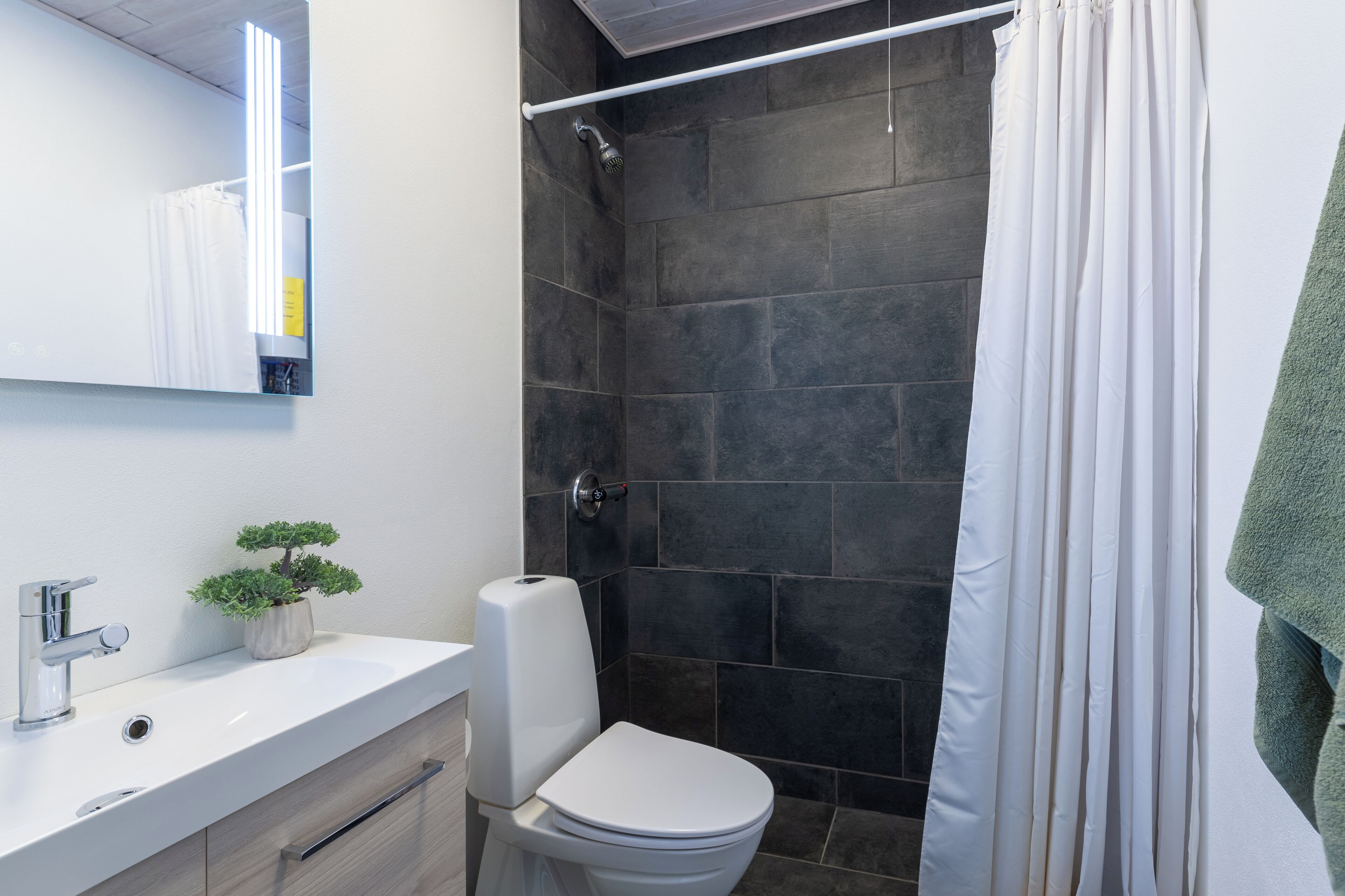 A modern bathroom with a shower, toilet, sink, and a potted plant.