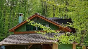 A rustic cabin with a tiled roof, wooden walls, and a porch.