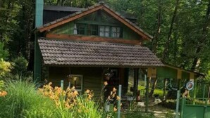 A rustic cabin with a sloped roof, surrounded by dense greenery.
