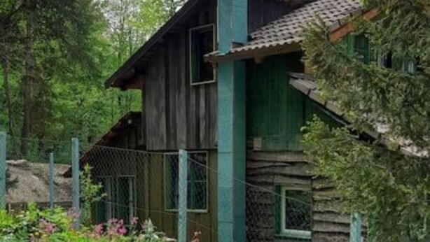 A rustic log cabin with a stone foundation, surrounded by a wooden fence and lush greenery.