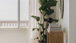 A room with a large window, a potted plant, a wooden console table, and a vase. - Oceanfront 7-bed home with grass backyard & grill (Folly Beach)