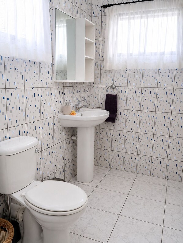 A bathroom with a toilet, sink, and mirror.