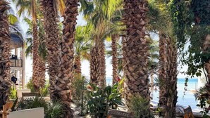 Eine Strandlounge mit Holzmöbeln und Palmen.