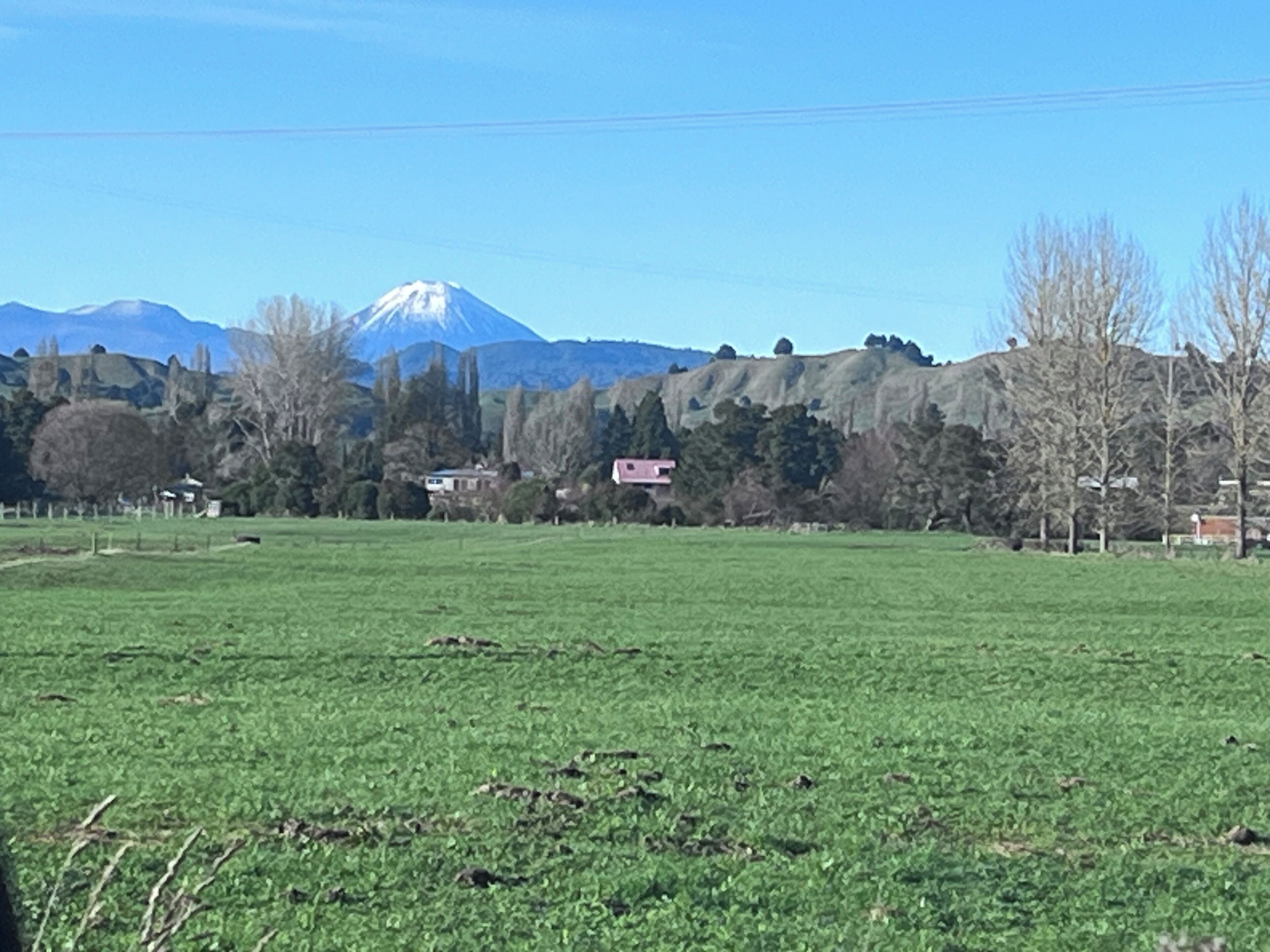 A grassy field with a mountain in the background.