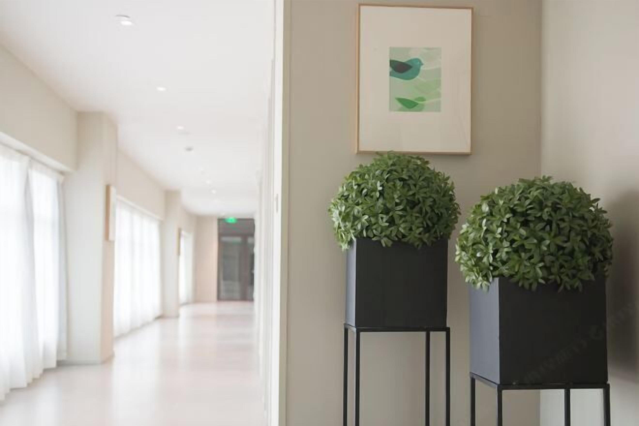 المنشأة من الداخل