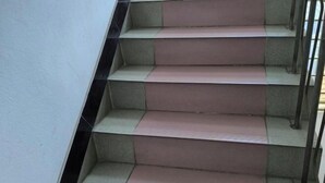 A set of stairs with alternating pink and green steps, metal handrails, and a white wall on one side.