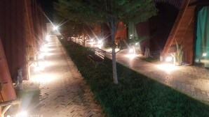 A nighttime view of a pathway lined with trees and illuminated by streetlights. - Grupo Al Mare e Bellissima (Luis Correia)