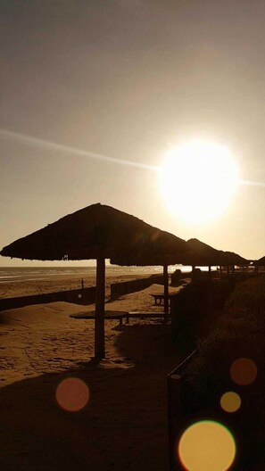 2 restaurants, pizza - Grupo Al Mare e Bellissima (Luis Correia)