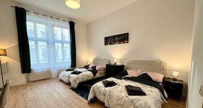 Walking distance to the center, near the arena