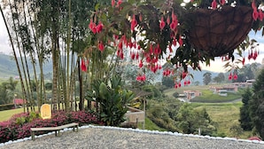 A garden with a bench, a hanging basket, and a view of buildings in the distance. - FINCA HOTEL BARILOCHE (Santa Rosa de Cabal)