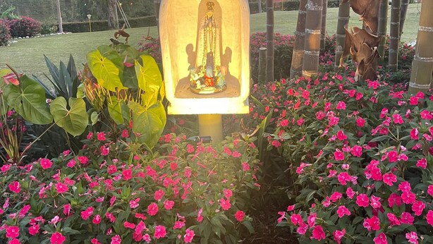 A serene garden with a central illuminated structure, surrounded by vibrant pink flowers and bamboo trees. - FINCA HOTEL BARILOCHE (Santa Rosa de Cabal)