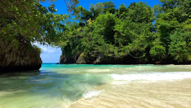 A beach with clear turquoise water, sandy shore, and dense green foliage.