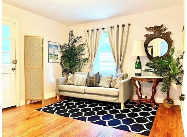 Smart TV, fireplace, books, music library