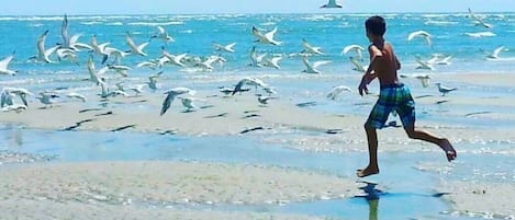 海灘