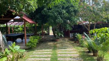 Garden view