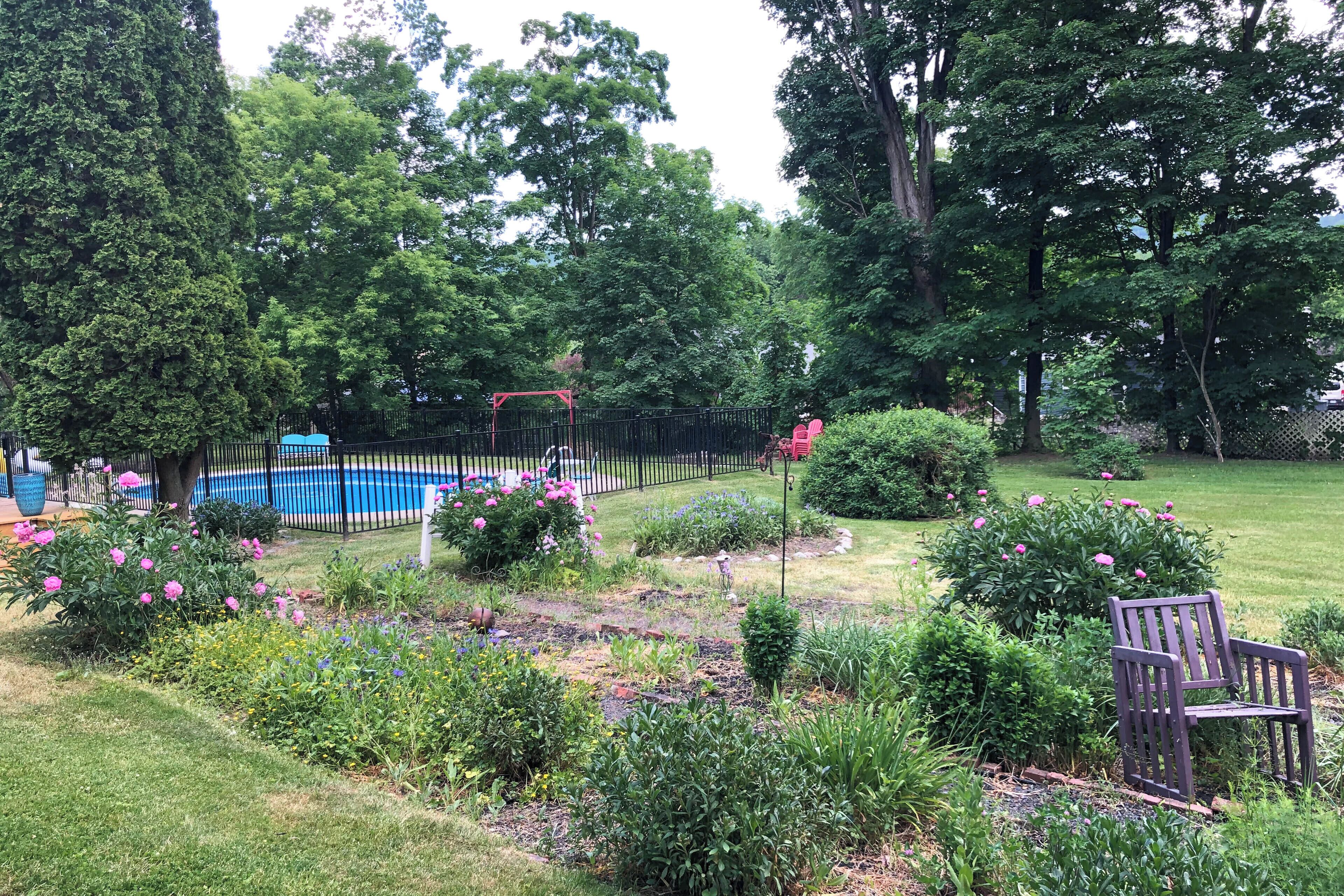 A garden with a swimming pool, a red swing set, and a bench.