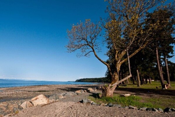 A beach with a clear sky, a rocky shoreline, and trees.