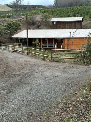 A rustic cabin with a wooden exterior, a metal roof, and a gravel driveway leading to a wooden fence.