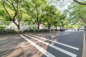 Una calle arbolada con un paso de peatones.
