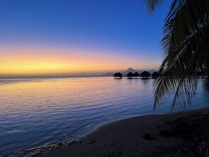 Ein Strand mit überwasser Bungalows und blauem Himmel.