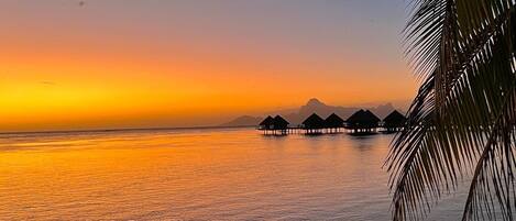 On the beach, sun-loungers, beach towels