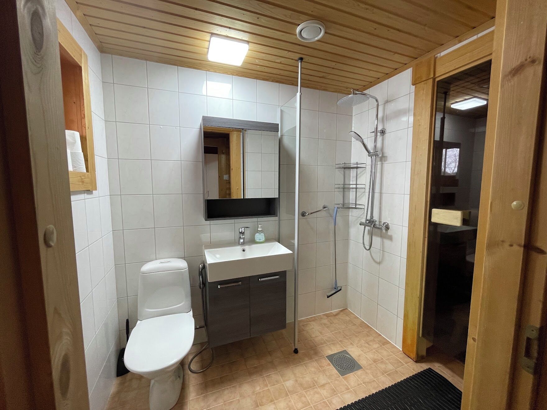 Shower, hair dryer, bidet