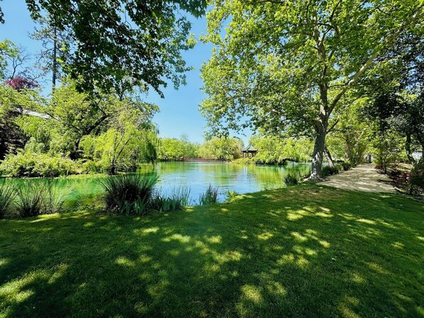 Property grounds - Serene and Cozy 2-Bedroom House in Calistoga with Covered Patio (Calistoga)