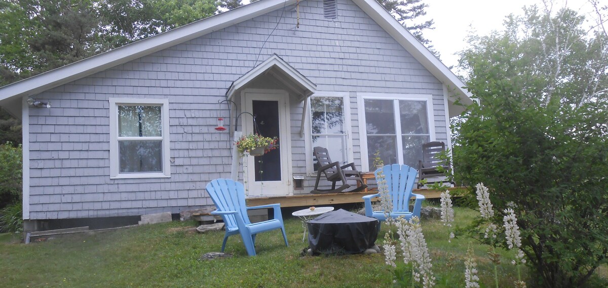 Imagen de perfil del propietario o de la propietaria