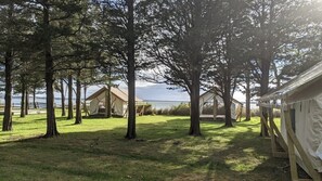 A campground with several tents and trees, a grassy area, and a view of the water.