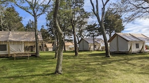 Un terrain de camping avec plusieurs tentes installées au milieu des arbres.