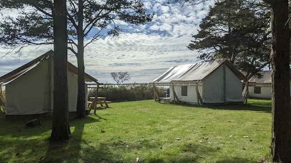 Un camping con varias tiendas de campaña y una mesa de picnic.