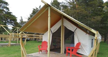 Safari Tent Glamping,D28-CedarPt, East Hampton, NY